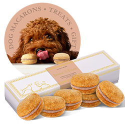 Dog Macarons - Bonne Et Filou